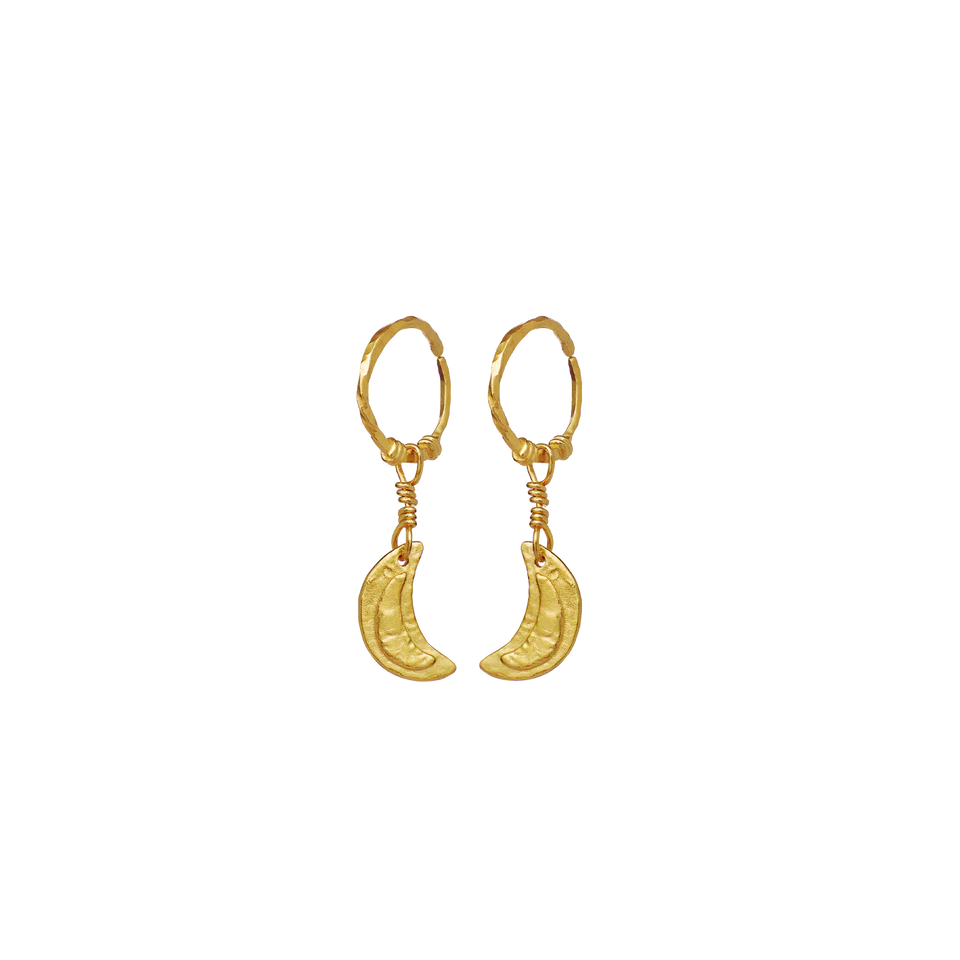 Odessa | Øreringe Forgyldt sølv | 9841A