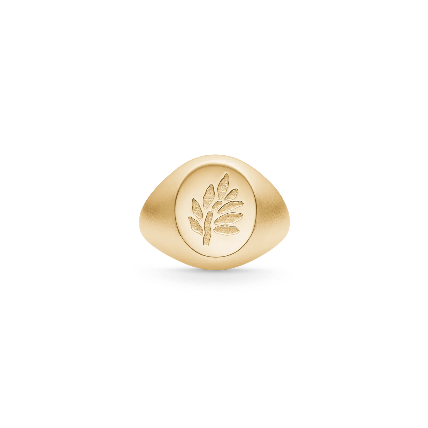 Tree of Life Signet | Ring 22 kt. forgyldt sølv | RI316GD