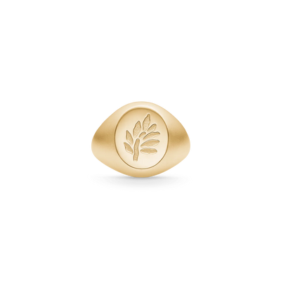 Tree of Life Signet | Ring 22 kt. forgyldt sølv | RI316GD