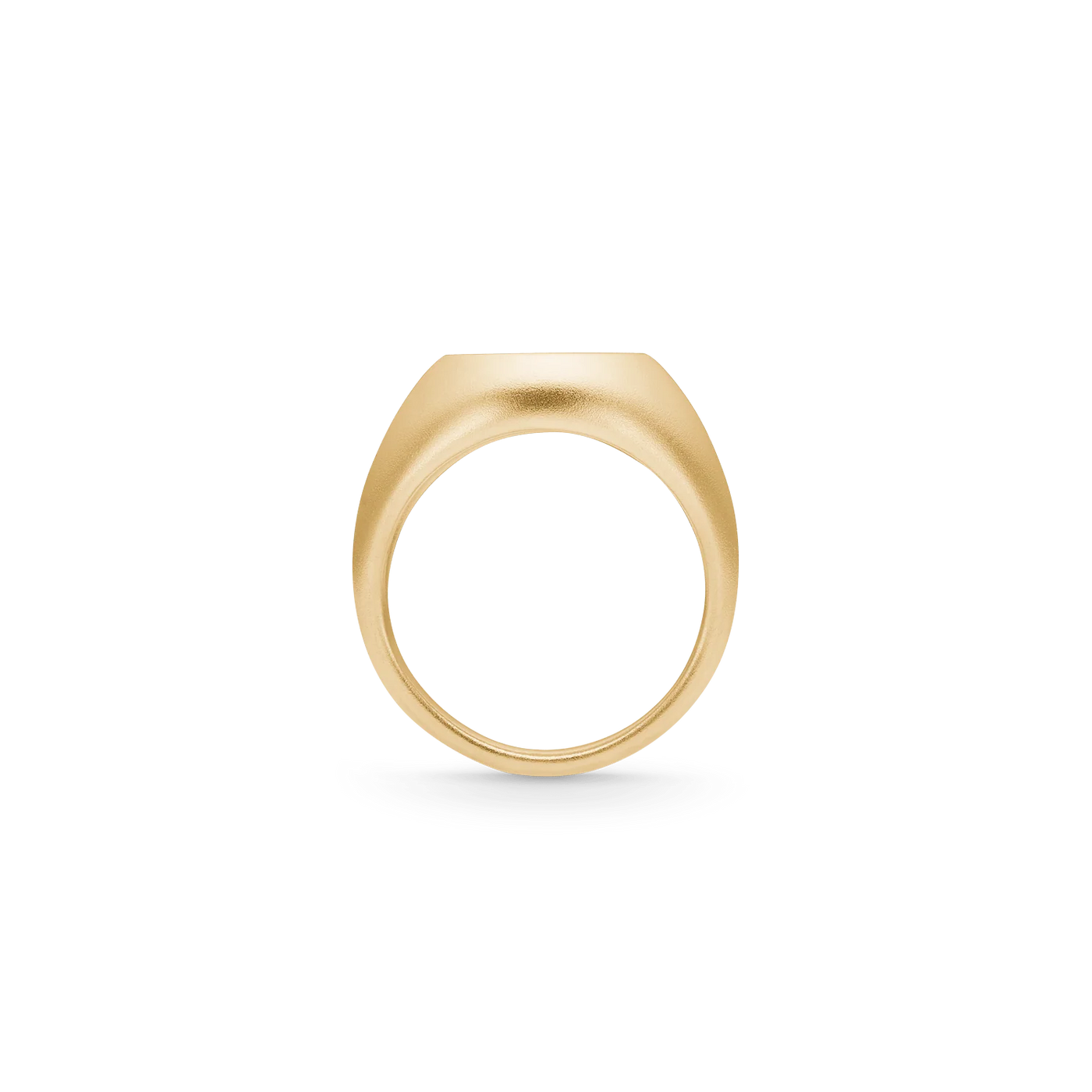 Tree of Life Signet | Ring 22 kt. forgyldt sølv | RI316GD