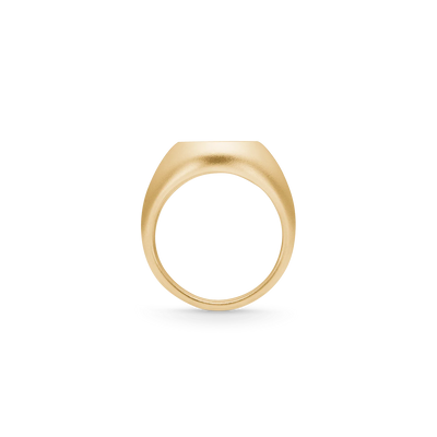 Tree of Life Signet | Ring 22 kt. forgyldt sølv | RI316GD