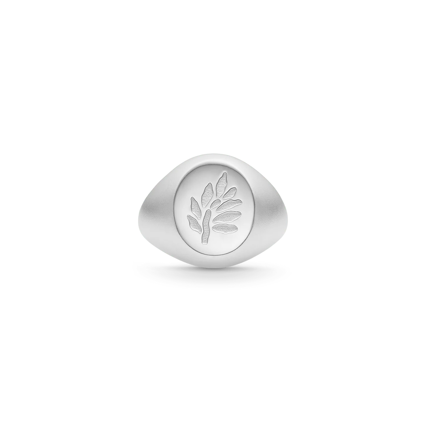 Tree of Life Signet | Ring Sølv | RI316RH