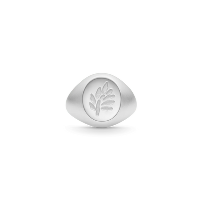 Tree of Life Signet | Ring Sølv | RI316RH