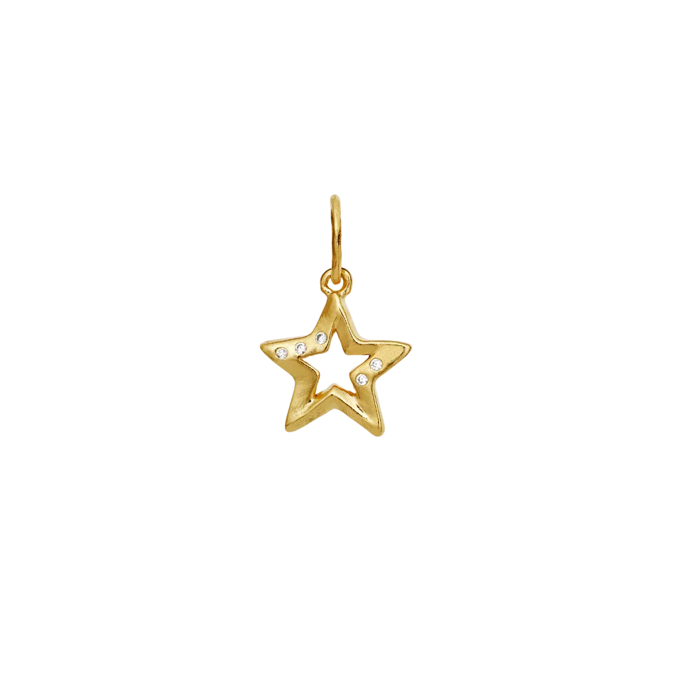 True | Vedhæng Forgyldt sølv | 2840A