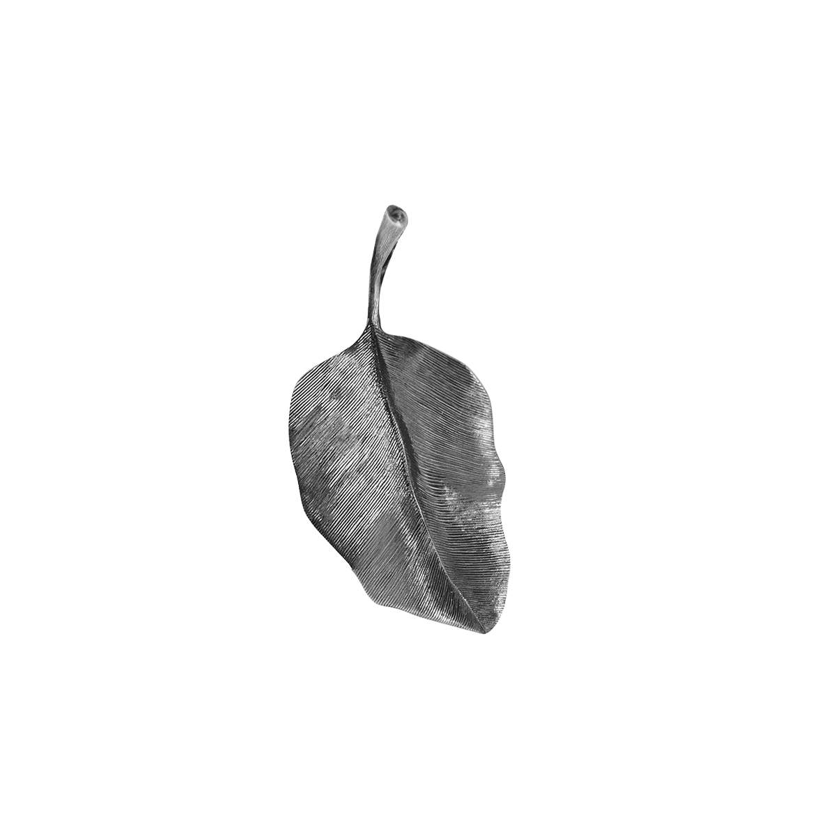 Leaves | Vedhæng Oxideret sølv 4 cm | A2617-302